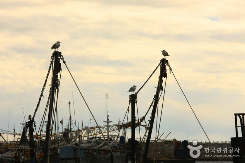 Gangguhang Port  (20/31)