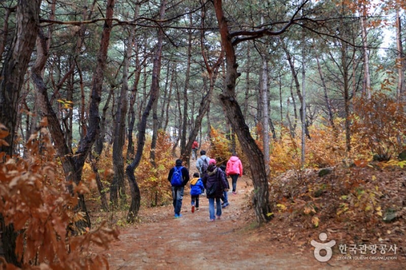 Buyongdae Cliff  (3/8)