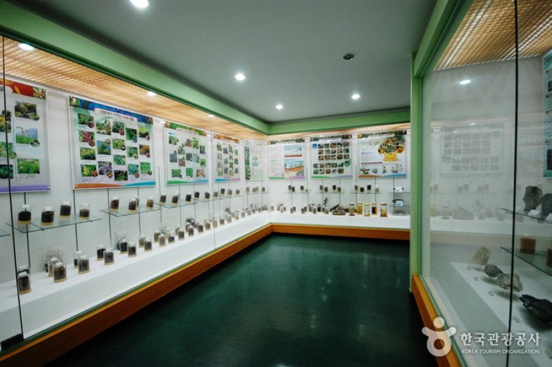 Gyeongsangbuk-do Arboretum  (4/16)