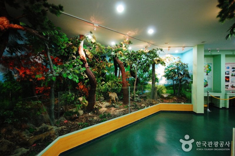 Gyeongsangbuk-do Arboretum  (5/16)
