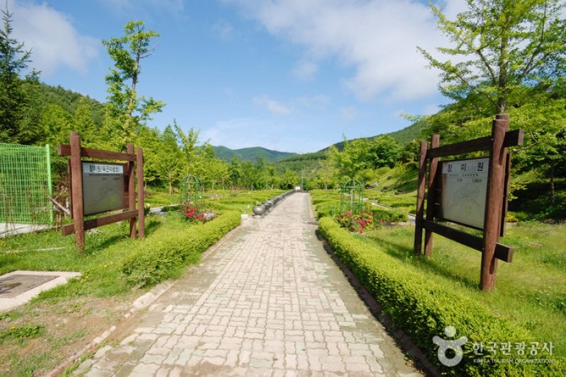 Gyeongsangbuk-do Arboretum  (7/16)