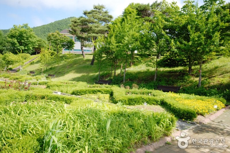Gyeongsangbuk-do Arboretum  (8/16)