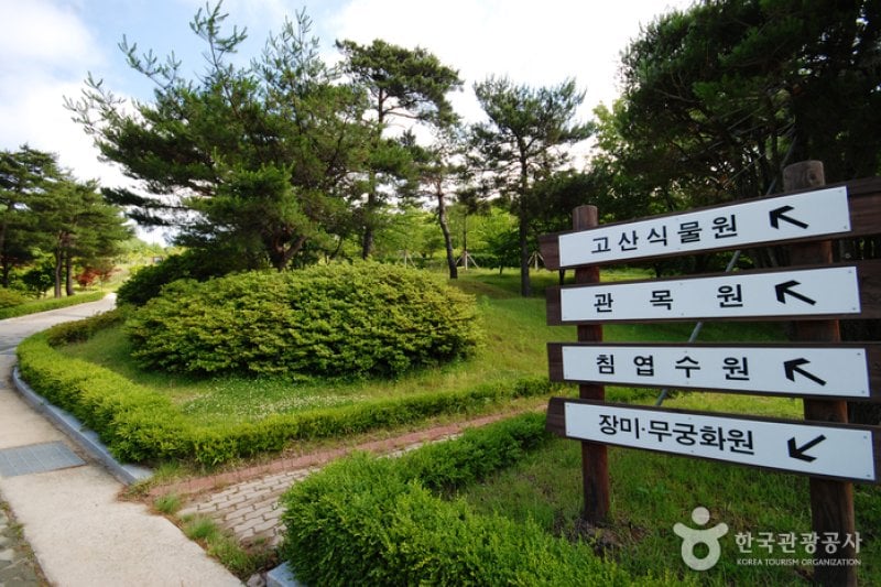 Gyeongsangbuk-do Arboretum  (10/16)