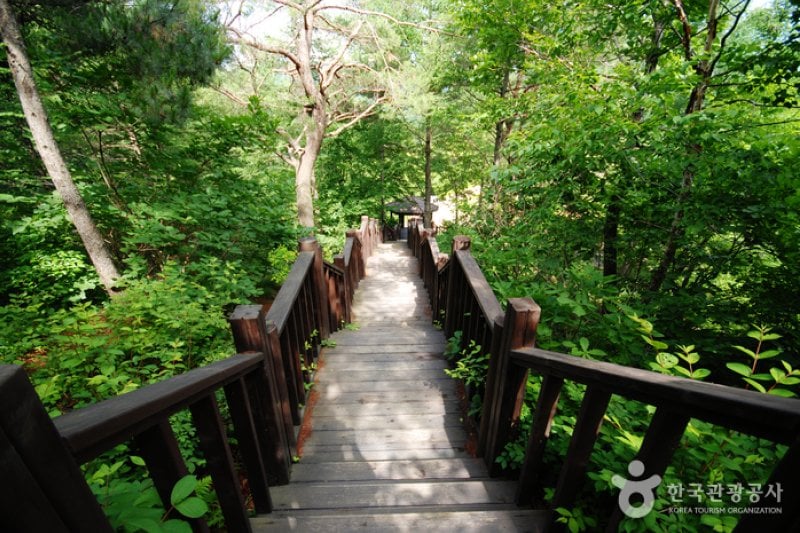 Gyeongsangbuk-do Arboretum  (12/16)