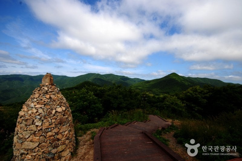 Gyeongsangbuk-do Arboretum  (13/16)