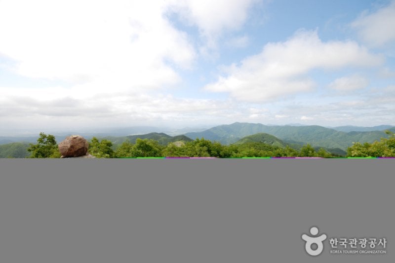 Gyeongsangbuk-do Arboretum  (14/16)