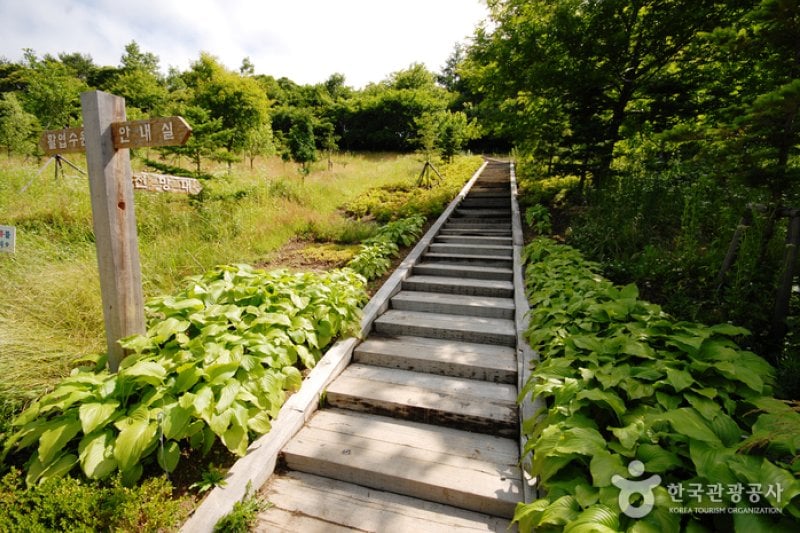 Gyeongsangbuk-do Arboretum  (15/16)