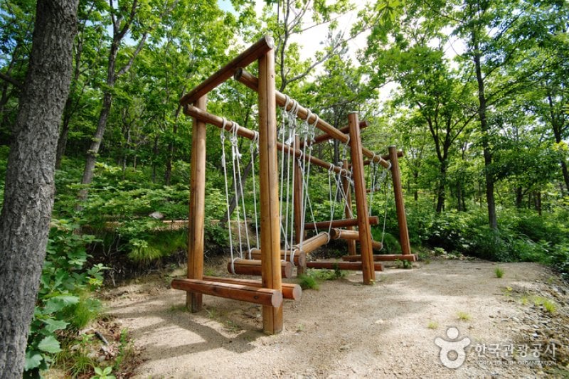 Gyeongsangbuk-do Arboretum  (16/16)