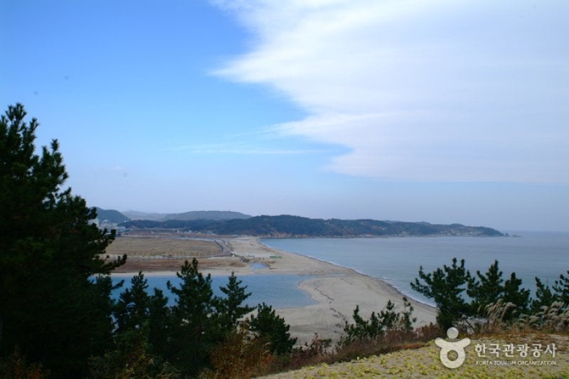 Mangyangjeong Pavilion (망양정) (2/6)