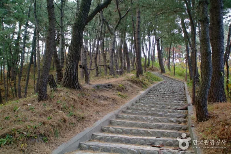 Mangyangjeong Pavilion (망양정) (3/6)