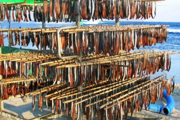 Guryongpo Specialty Festival