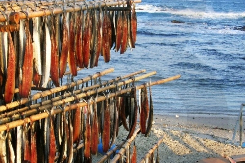 Guryongpo Specialty Festival 