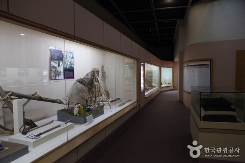 Cheongsong Folk Museum  (2/9)