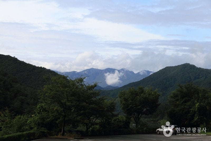 Joryeongsan Mountain  (2/20)