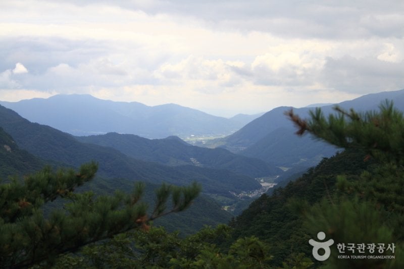 Joryeongsan Mountain  (4/20)