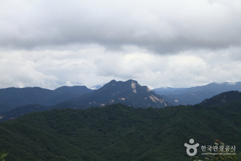 Joryeongsan Mountain  (5/20)