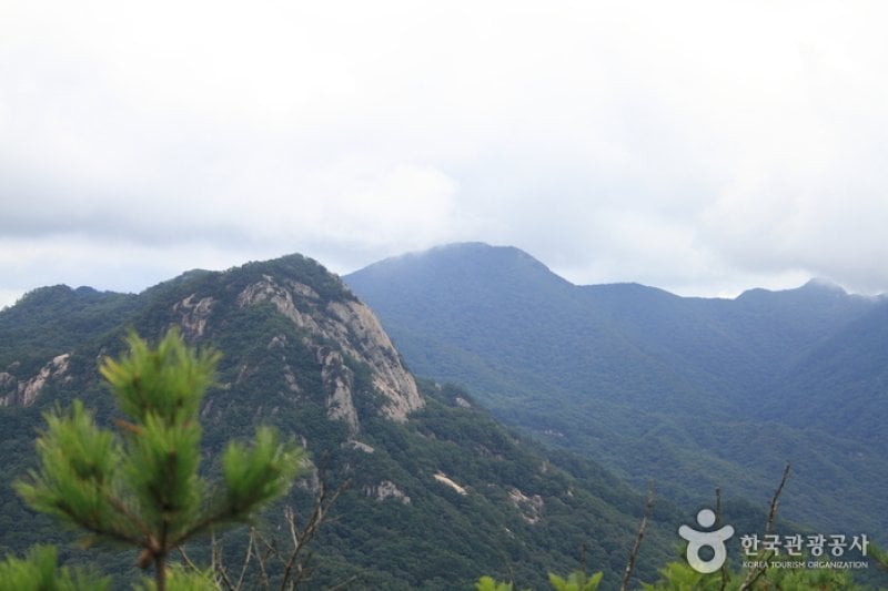 Joryeongsan Mountain  (6/20)