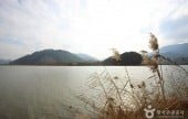 Nakdonggang River 
