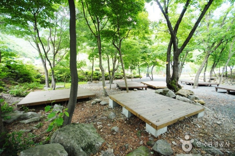 Unmunsan Recreational Forest  (3/21)