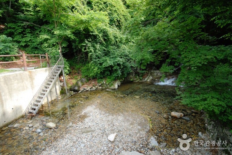 Unmunsan Recreational Forest  (4/21)