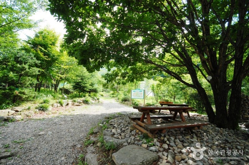 Unmunsan Recreational Forest  (8/21)