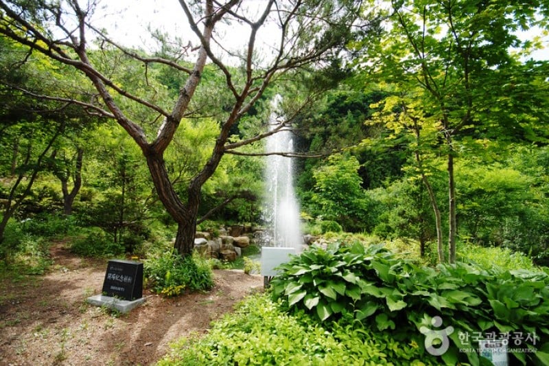 Unmunsan Recreational Forest  (9/21)