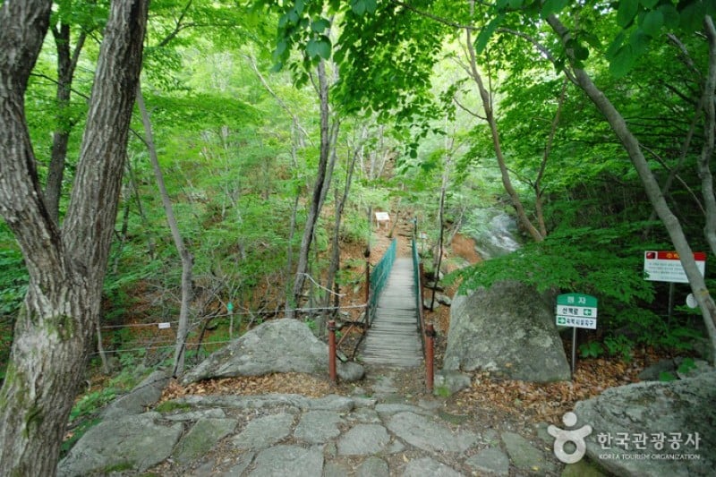 Unmunsan Recreational Forest  (10/21)