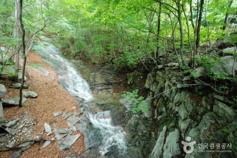 Unmunsan Recreational Forest  (11/21)