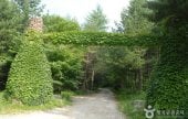Cheongoksan Recreational Forest (국립 청옥산자연휴양림)