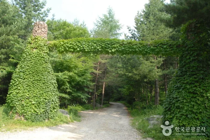 Cheongoksan Recreational Forest (국립 청옥산자연휴양림) (1/13)