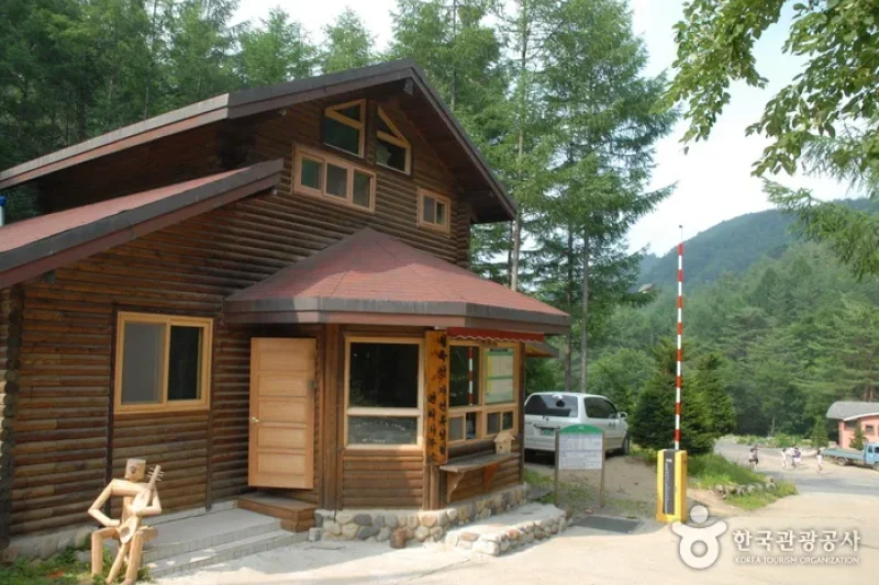 Cheongoksan Recreational Forest (국립 청옥산자연휴양림) (3/13)