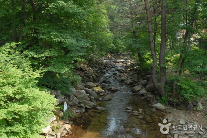 Cheongoksan Recreational Forest (국립 청옥산자연휴양림) (4/13)