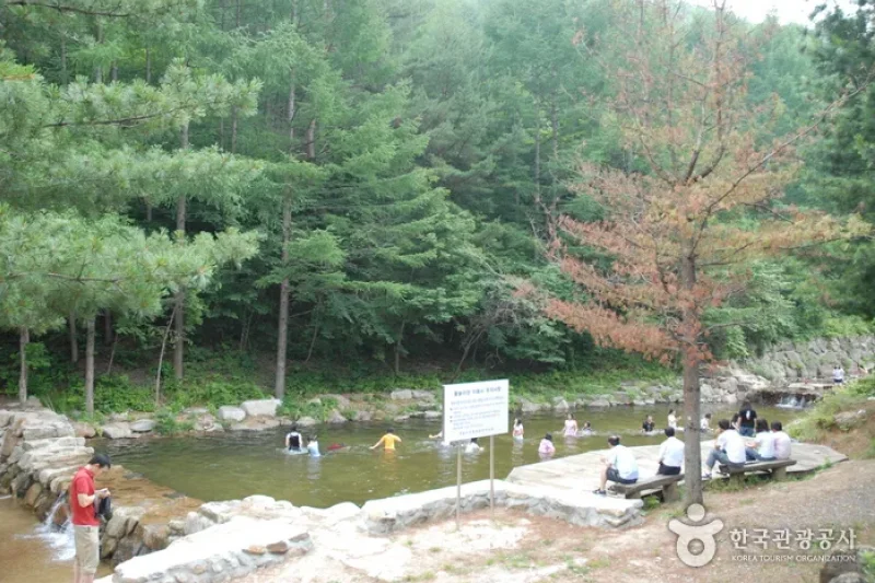 Cheongoksan Recreational Forest (국립 청옥산자연휴양림) (7/13)