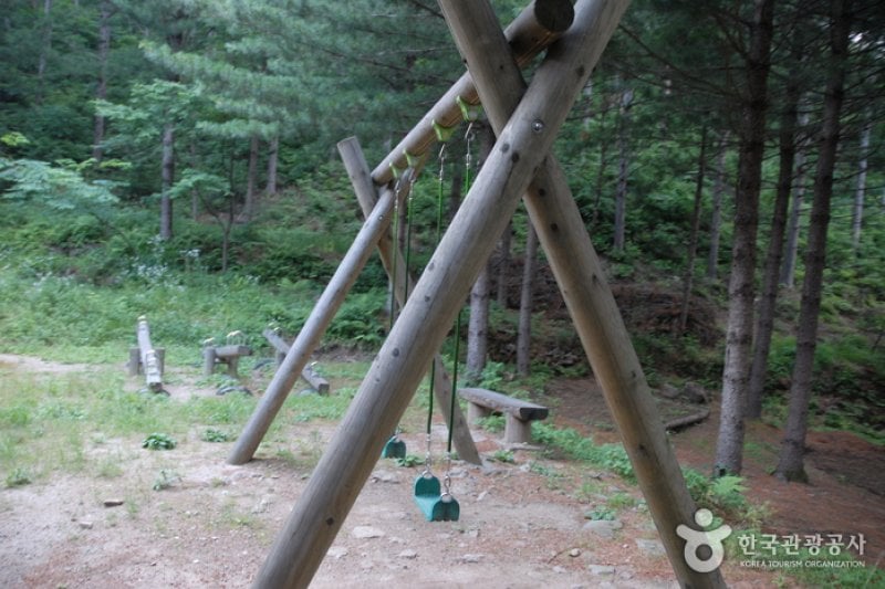 Cheongoksan Recreational Forest (국립 청옥산자연휴양림) (10/13)