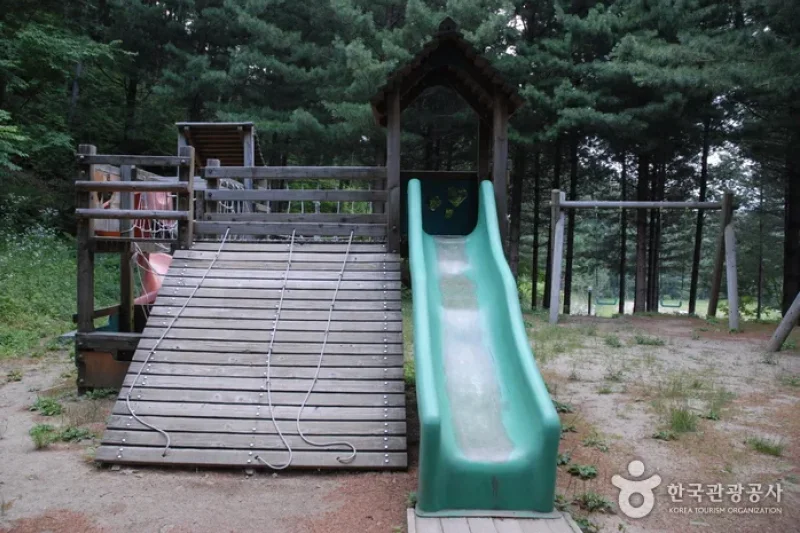 Cheongoksan Recreational Forest (국립 청옥산자연휴양림) (11/13)