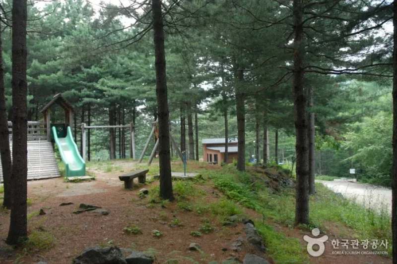 Cheongoksan Recreational Forest (국립 청옥산자연휴양림) (12/13)