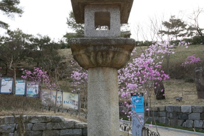 Daegaya Museum  (8/11)