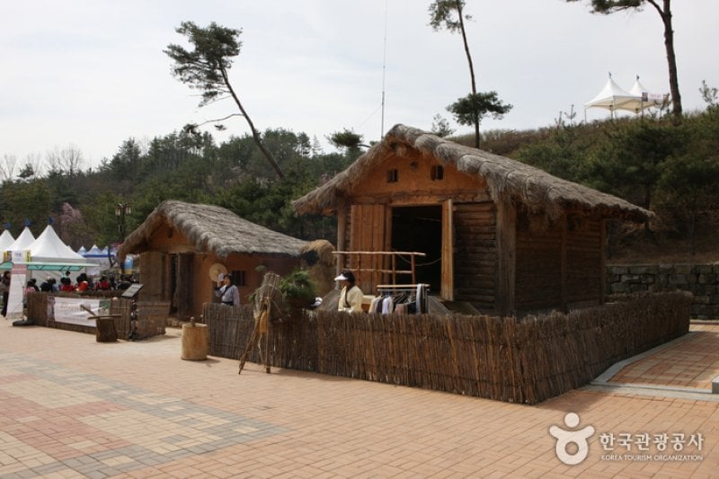 Daegaya Museum  (11/11)