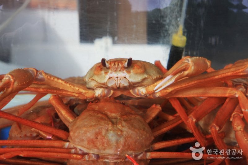 Yeongdeok Crab Village  (3/10)