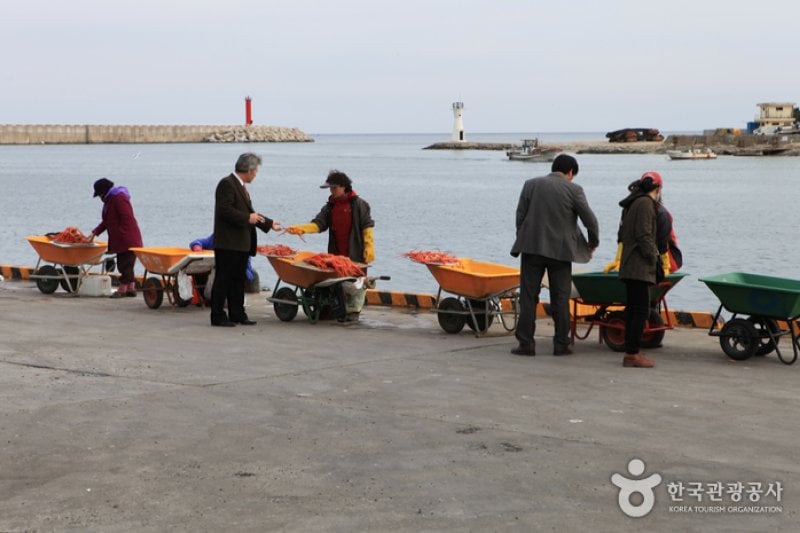 Yeongdeok Crab Village  (5/10)
