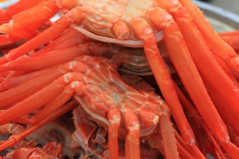 Yeongdeok Crab Village  (6/10)