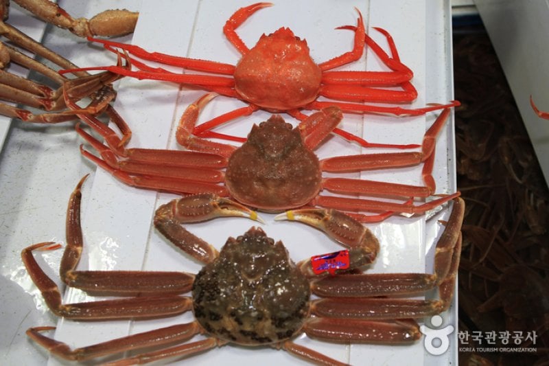 Yeongdeok Crab Village  (7/10)