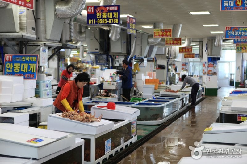 Yeongdeok Crab Village  (9/10)