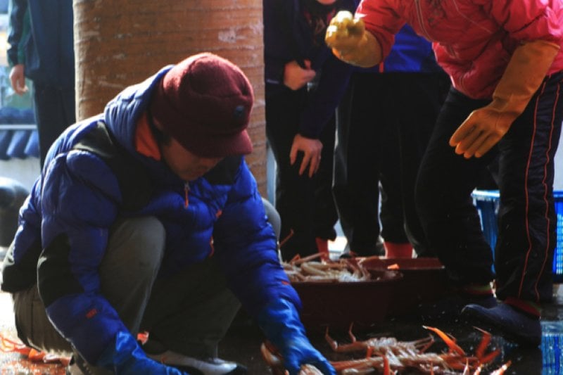 Yeongdeok Crab Village  (10/10)