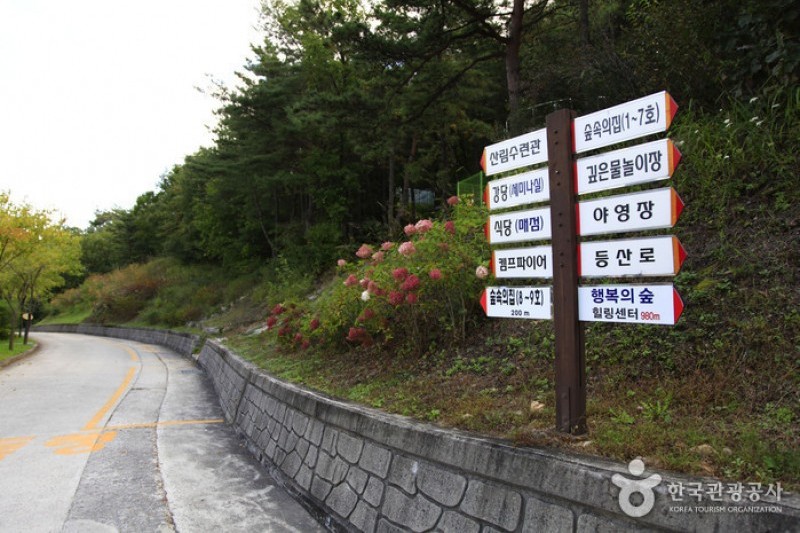 Seongjubong Recreational Forest  (3/5)