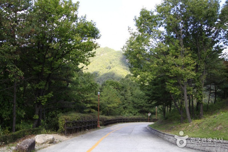 Seongjubong Recreational Forest  (4/5)