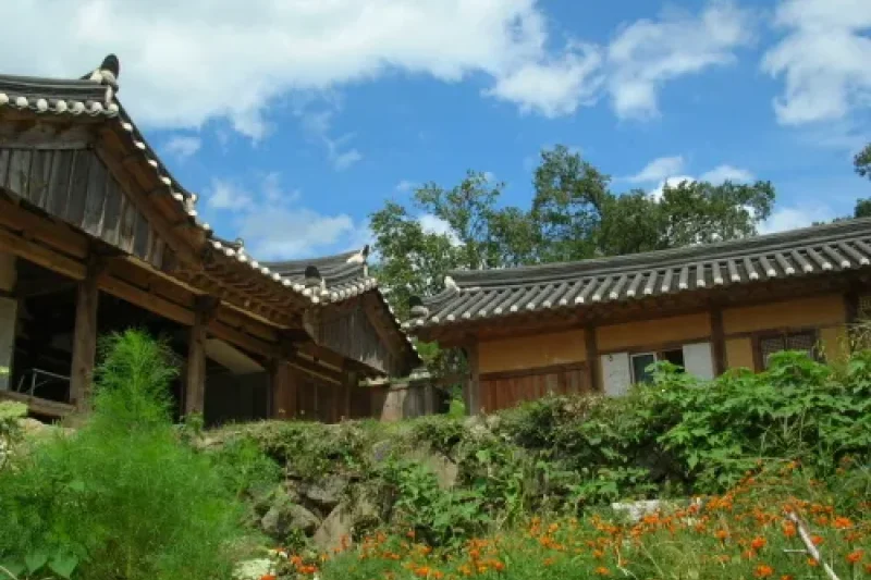 Hyangdan  (14/22)