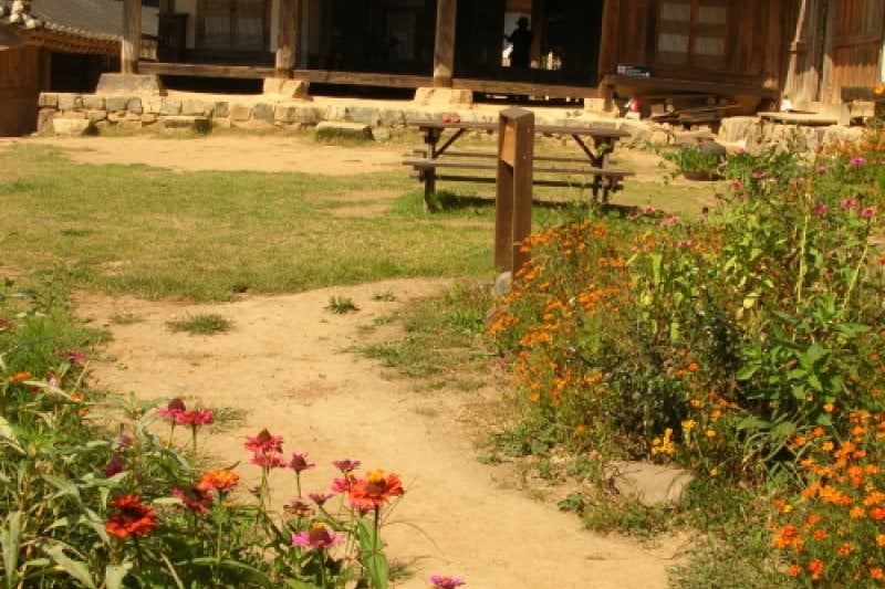 Hyangdan  (17/22)