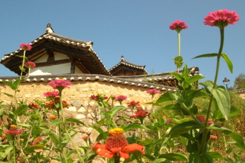 Hyangdan  (18/22)