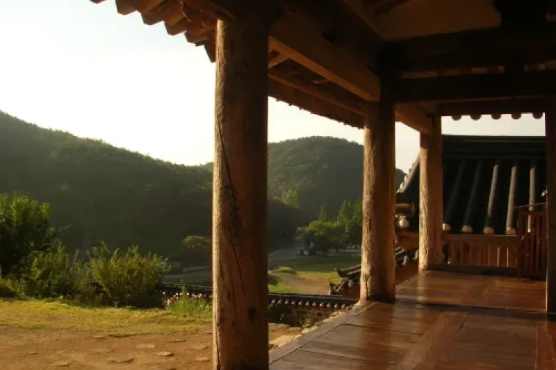 Hyangdan  (21/22)